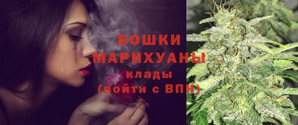 шишки Алексеевка