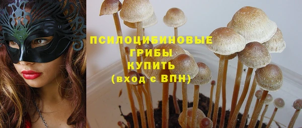 шишки Алексеевка