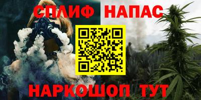 шишки Заволжье