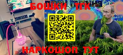 шишки Заволжье