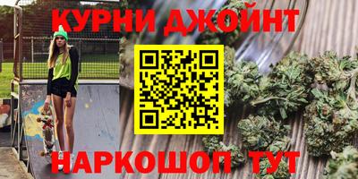 шишки Заволжье