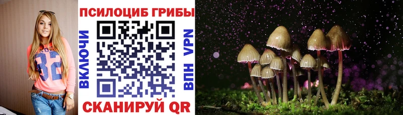 Псилоцибиновые грибы ЛСД Усть-Илимск