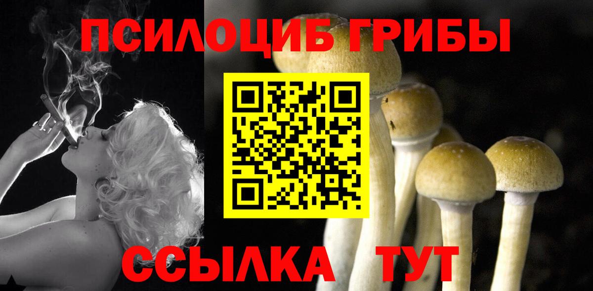 Галлюциногенные грибы Magic Shrooms  Галлюциногенные грибы Cubensis  Вход с VPN  Усть-Илимск 